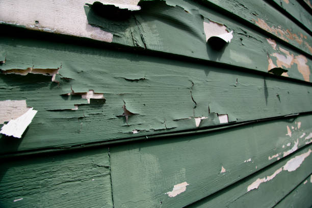 Siding for New Construction in Delisle, MS